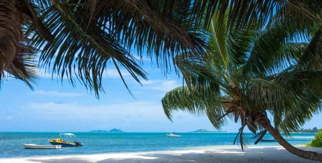 Happy Stay Villa Grand Anse  Bagian luar foto