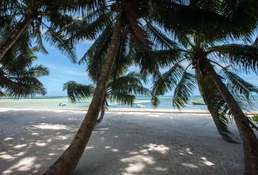 Happy Stay Villa Grand Anse  Bagian luar foto